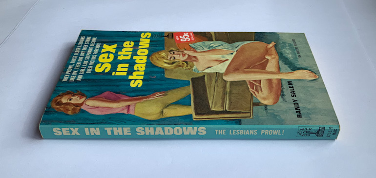 SEX IN THE SHADOWS United States Lesbian pulp fiction book